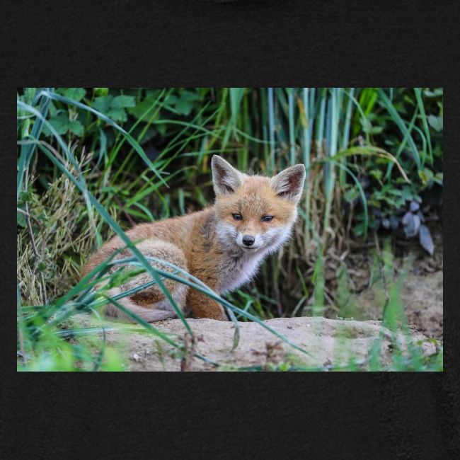 fox