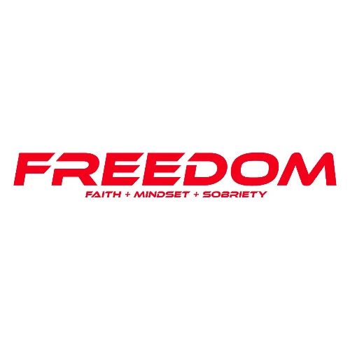 Freedom - Men's Premium Hoodie