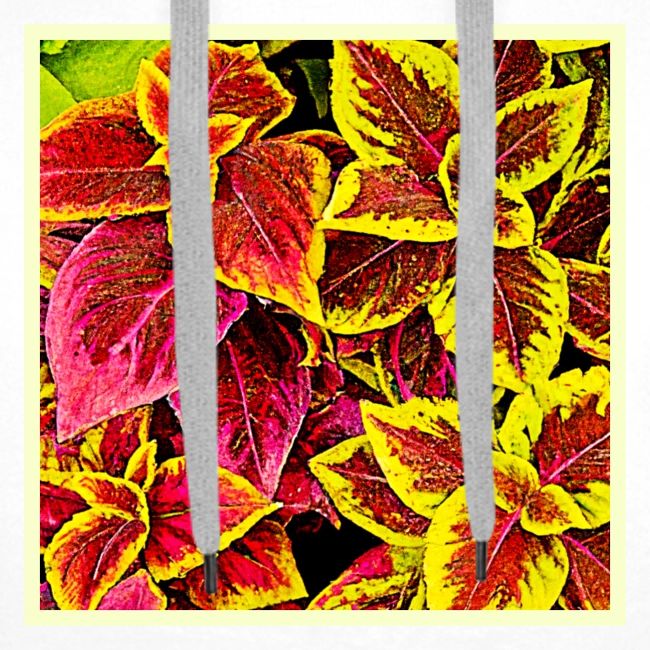 Coleus Leaf Burst Design