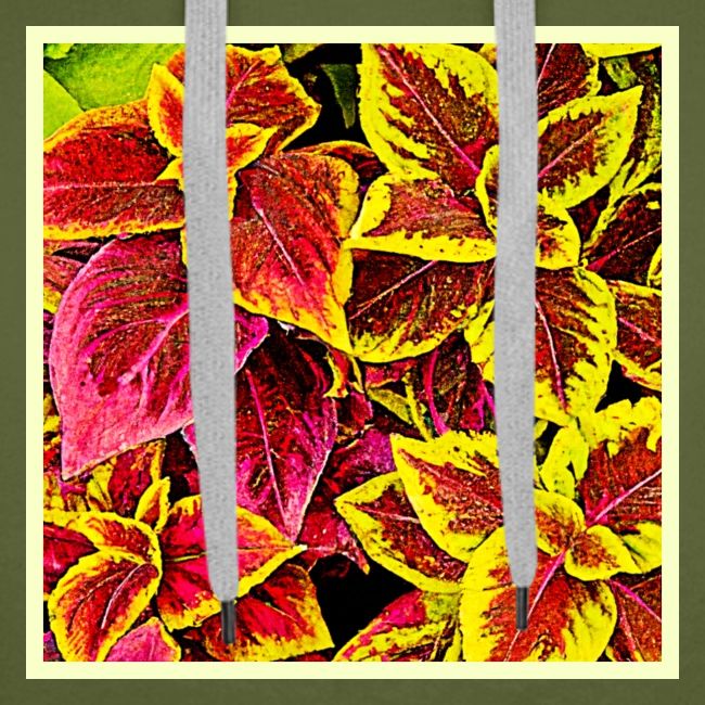 Coleus Leaf Burst Design