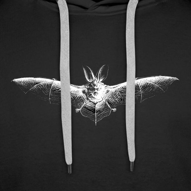 Bat