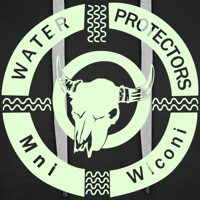 water protectors mni