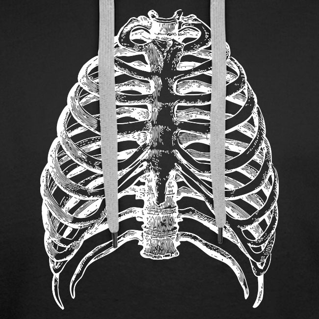 Human Rib Cage