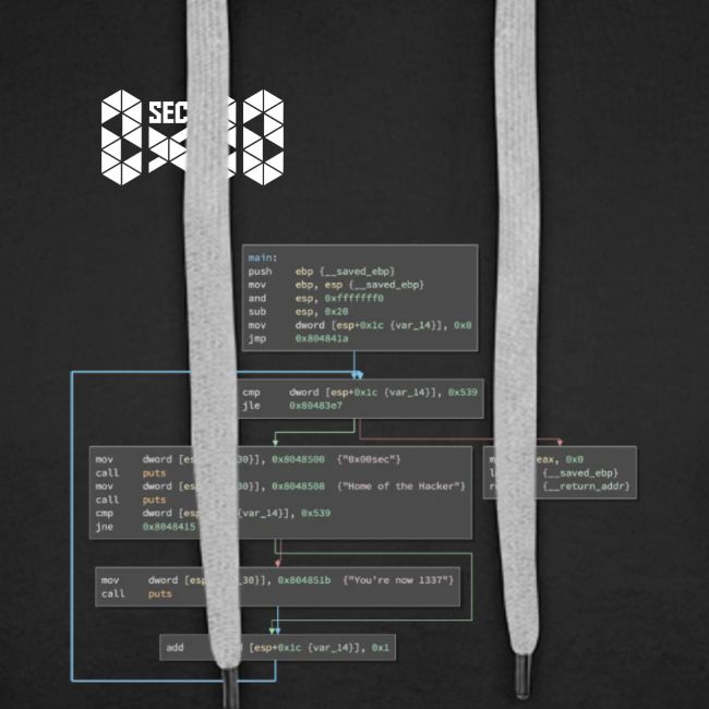 0x00sec Disassembled - Concept Mk1 - WIP