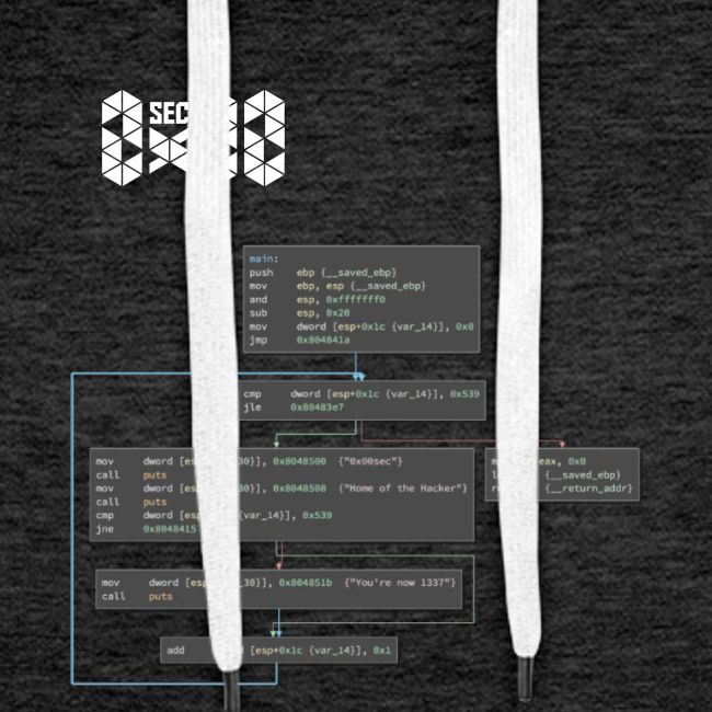 0x00sec Disassembled - Concept Mk1 - WIP