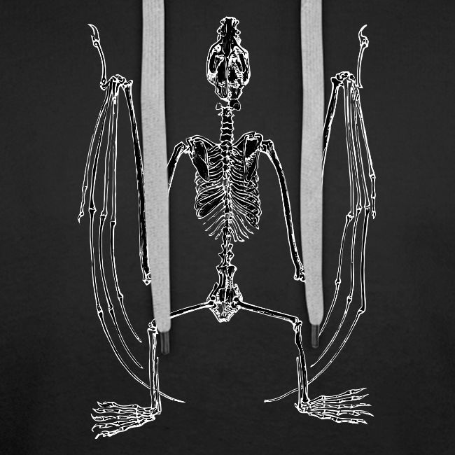 Bat Skeleton