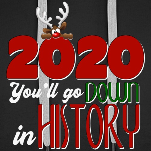 2020 You'll Go Down in History - Men's Premium Hoodie