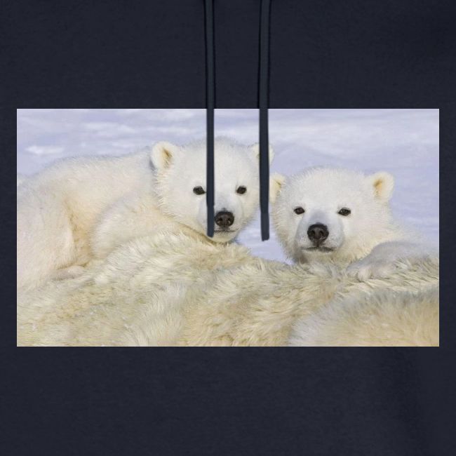 polarbears
