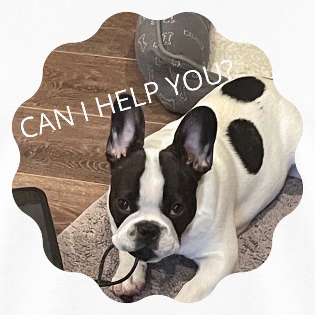 MOCHI CAN I HELP YOU