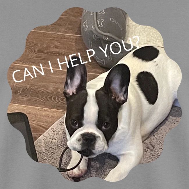 MOCHI CAN I HELP YOU