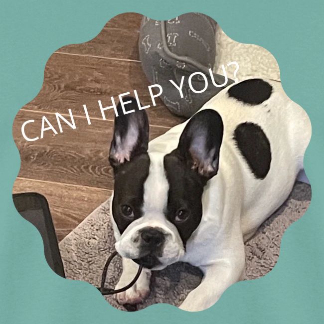 MOCHI CAN I HELP YOU