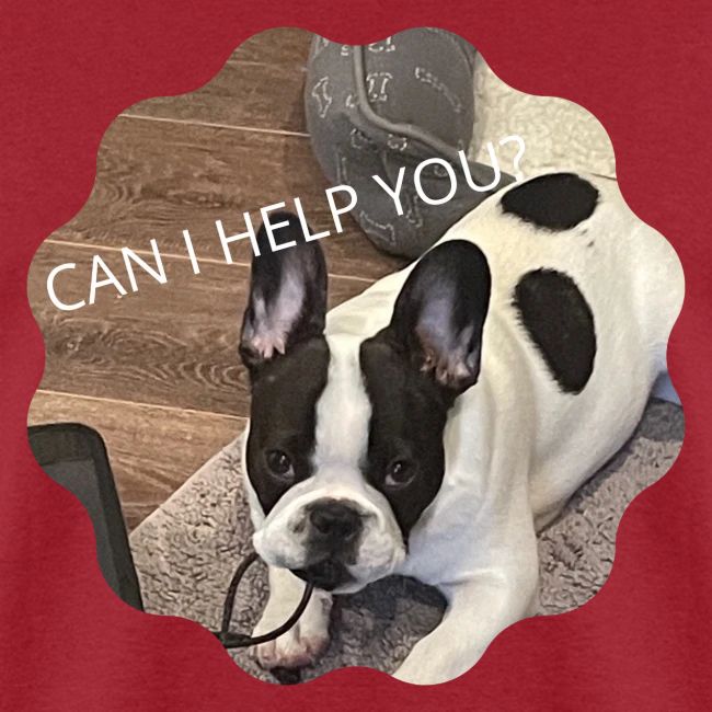 MOCHI CAN I HELP YOU