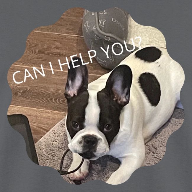 MOCHI CAN I HELP YOU