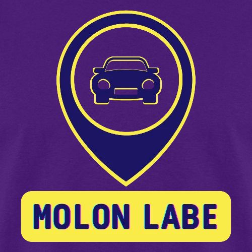 MOLON LABE CAR - Men's T-Shirt