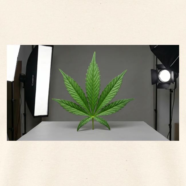 ***CANNABIS LEAF TEE***