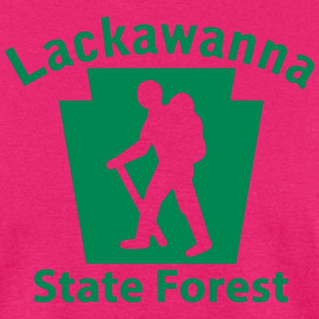 Lackawanna State Forest Keystone Hiker male