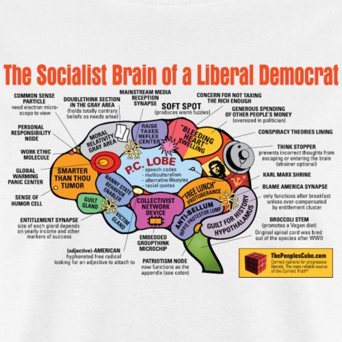Brain of a socialist - Men's T-Shirt