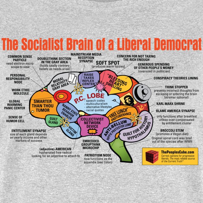 Brain of a socialist