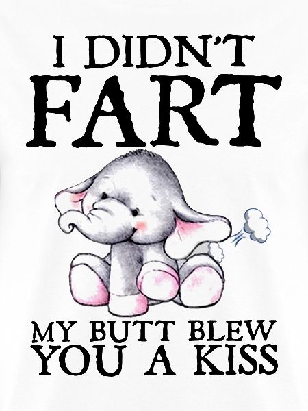 I did not fart my butt blew you a kiss elephant