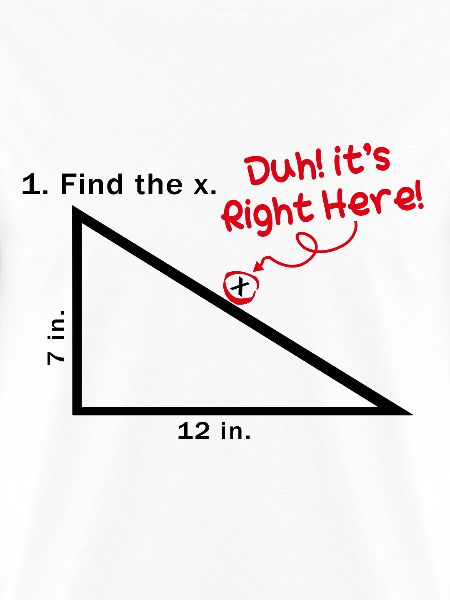 Find The X Duh! It's Right Here! Funny Math Quotes
