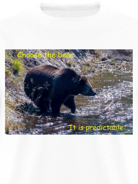 Choose The Bear