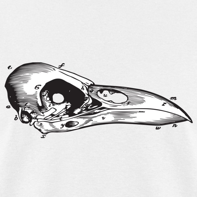 Bird Skull Illustration Vintage Steampunk Style