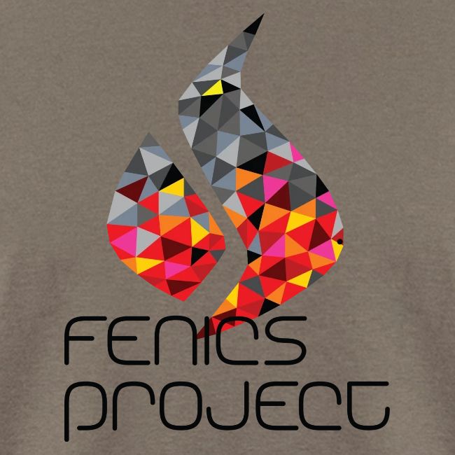 FEniCS Official Logo