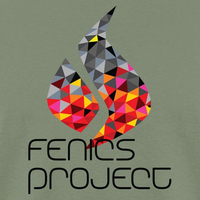FEniCS Official Logo