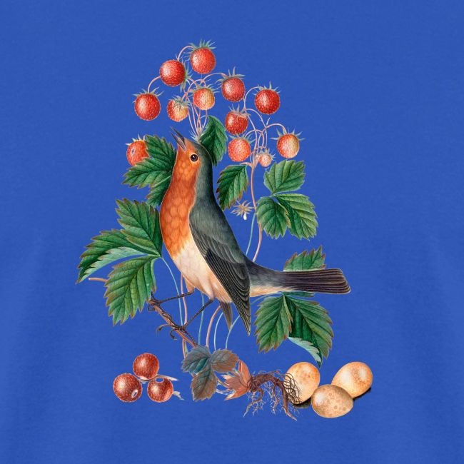 European robin