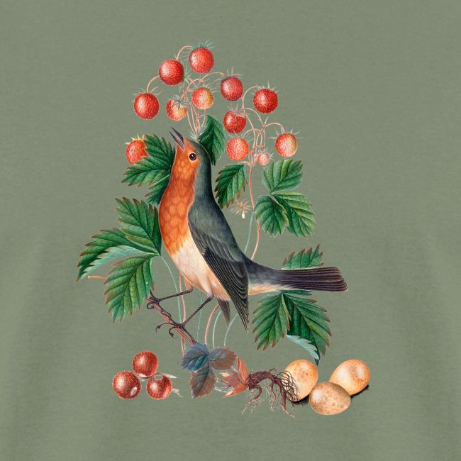 European robin