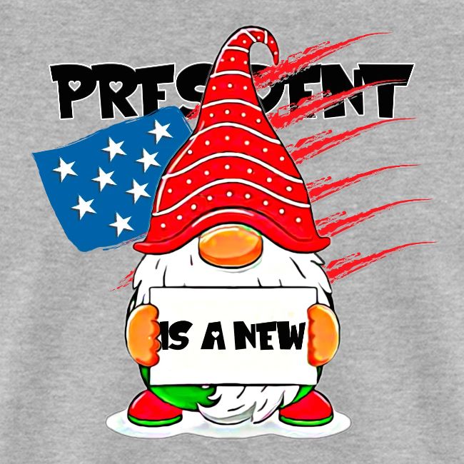 Christmas funny gnomes