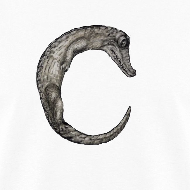 crocodile Transparent