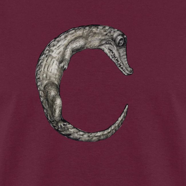 crocodile Transparent