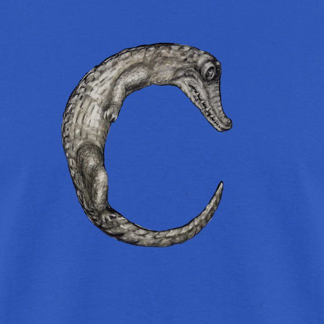 crocodile Transparent