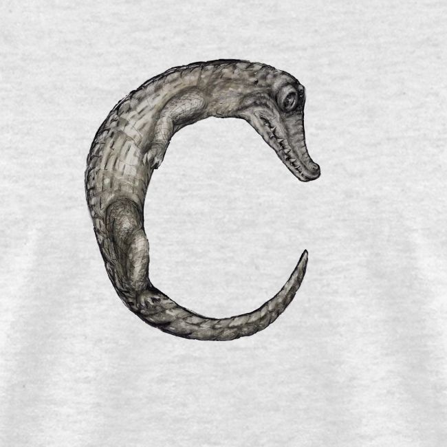 crocodile Transparent