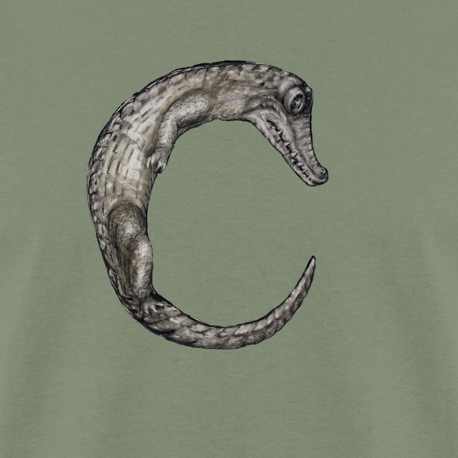 crocodile Transparent