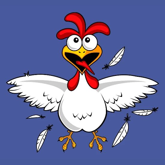 funny chicken pictures cartoons