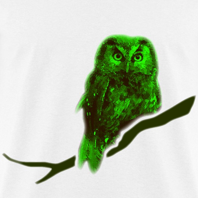 owl bird fowl green