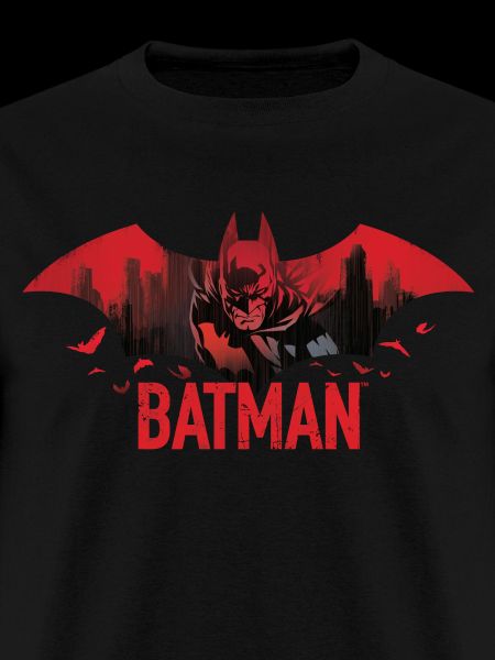 Batman With Bats And Red Batman Logo