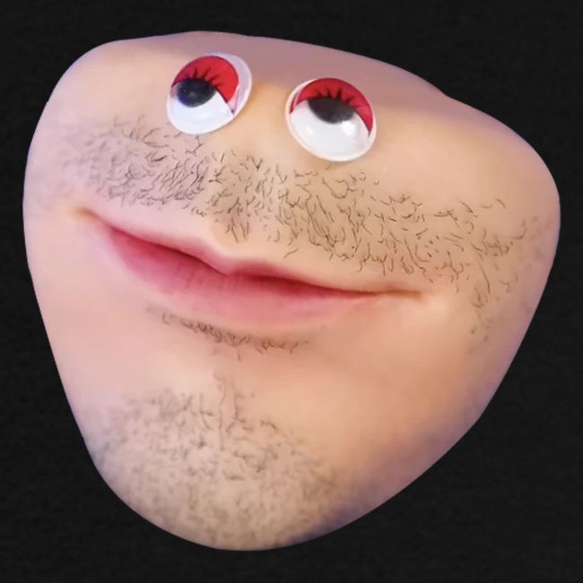 Mr Kiwi