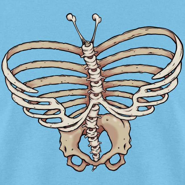 Butterfly skeleton