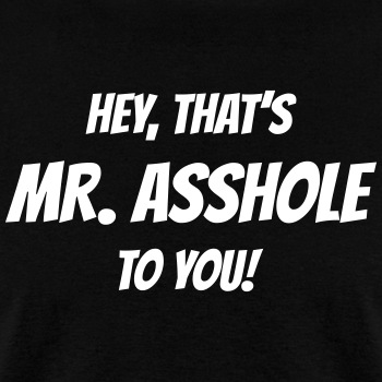 Hey, that's Mr. Asshole to you! - T-shirt for men