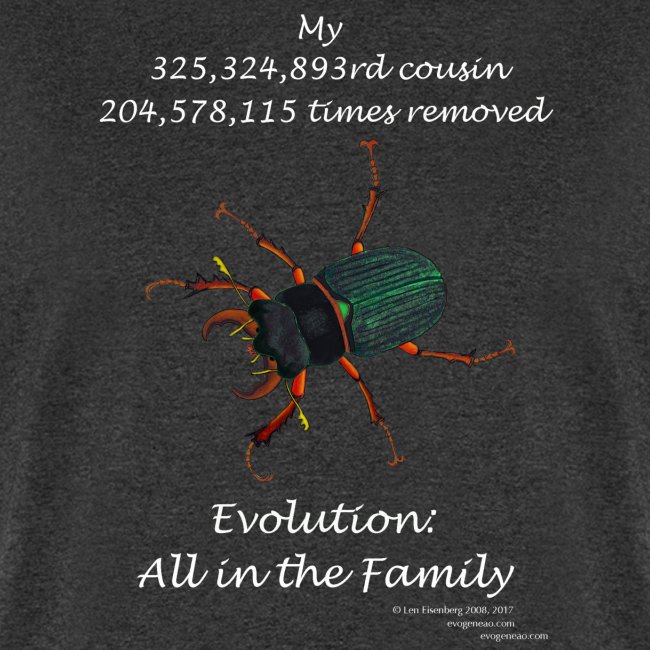 11 17 beetle Tshirt black
