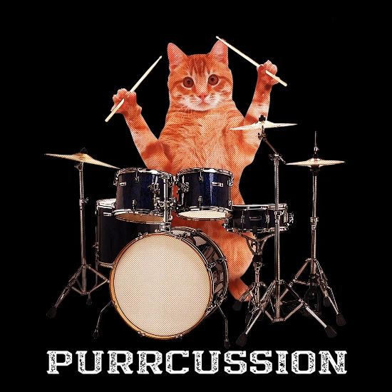 Memes Drum Roll