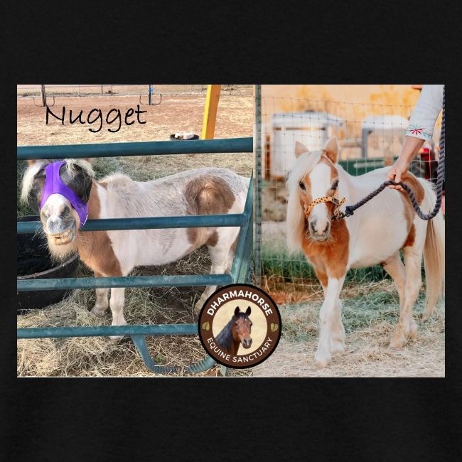 Nugget