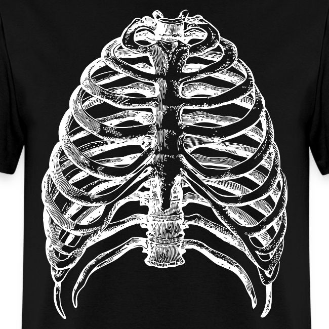 Human Rib Cage