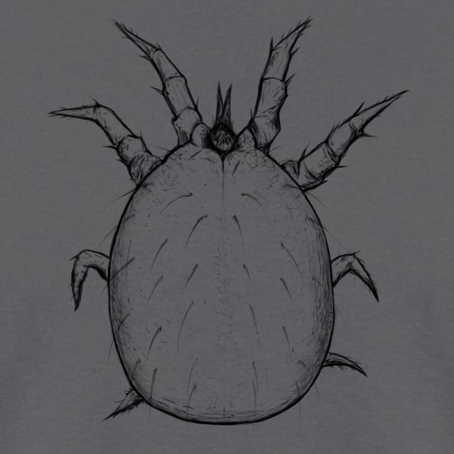 Soil dwelling mite