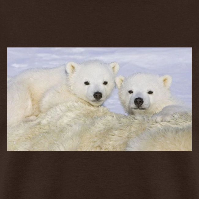 polarbears