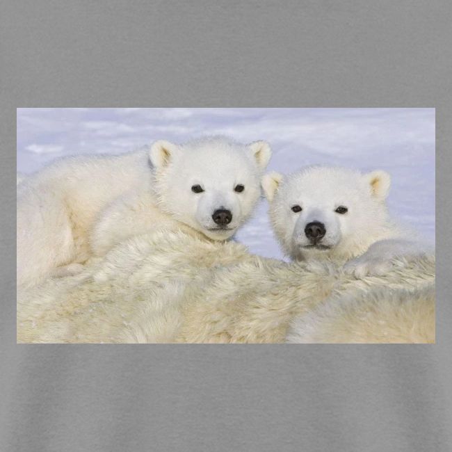 polarbears