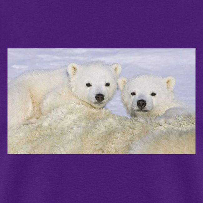 polarbears